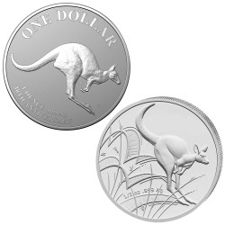 Lot 2 x 1 Dollar Argent...