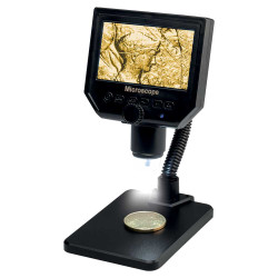 Microscope numérique à écran