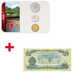 Lot des monnaies Vietnam