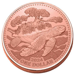 1 Dollar BU 2024 - Tortue : soutien de la Terre