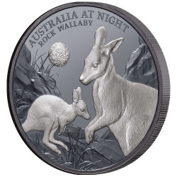 1 Dollar Argent Niue BE 2024 colorisée - Wallabi des rochers
