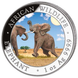 100 Shillings Argent Somalie 2024 colorisée - Éléphant