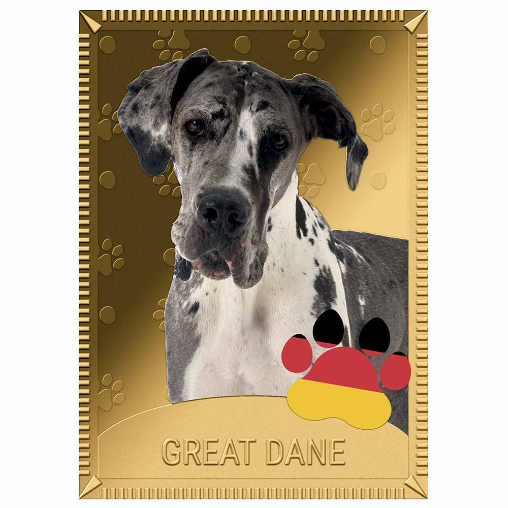 1 Dollar Or colorisée - Dogue allemand