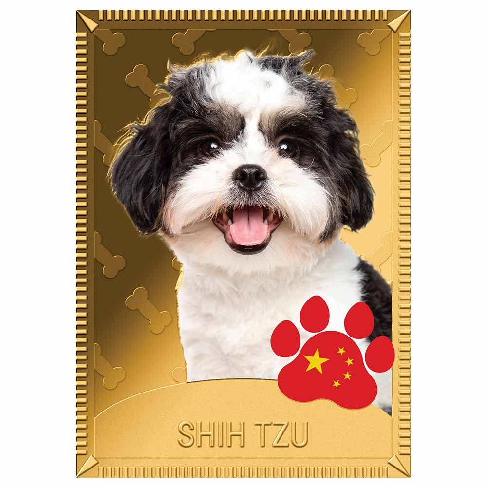 1 Dollar Or colorisée - Shih Tzu