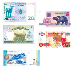 5 billets du monde Animaux