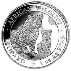 100 Shilling Argent Somalie BU 2024 - Léopard