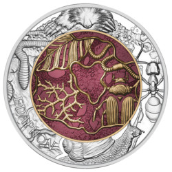 25 Euro Argent et Niobium Autriche BU 2024 colorisée - Édaphon