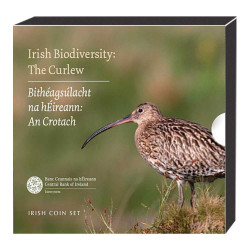 Série Irlande BU 2024 - Biodiversité - le courlis