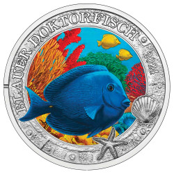 3 Euro Autriche BU 2024 luminescente colorisée - Poisson chirurgien