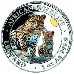 100 Shilling Argent Somalie 2024 colorisée - Léopard