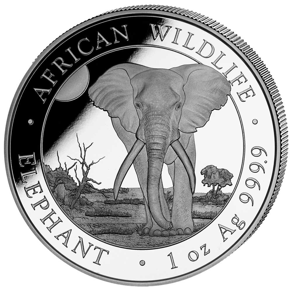 100 Shilling Argent Somalie BU 2025 - Éléphant