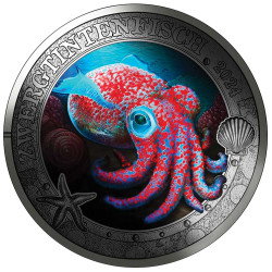 3 Euro Autriche BU 2024 colorisée et luminescente - Calmar hawaïen