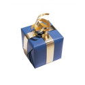Mon cadeau surprise offert*