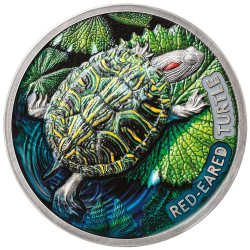 2 Dollars Argent 2024 colorisée - Tortue de Floride