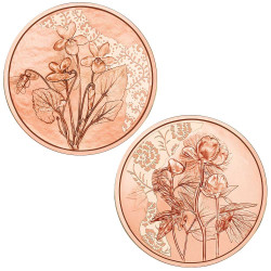 Lot 2 x 10 Euro Autriche BU 2024