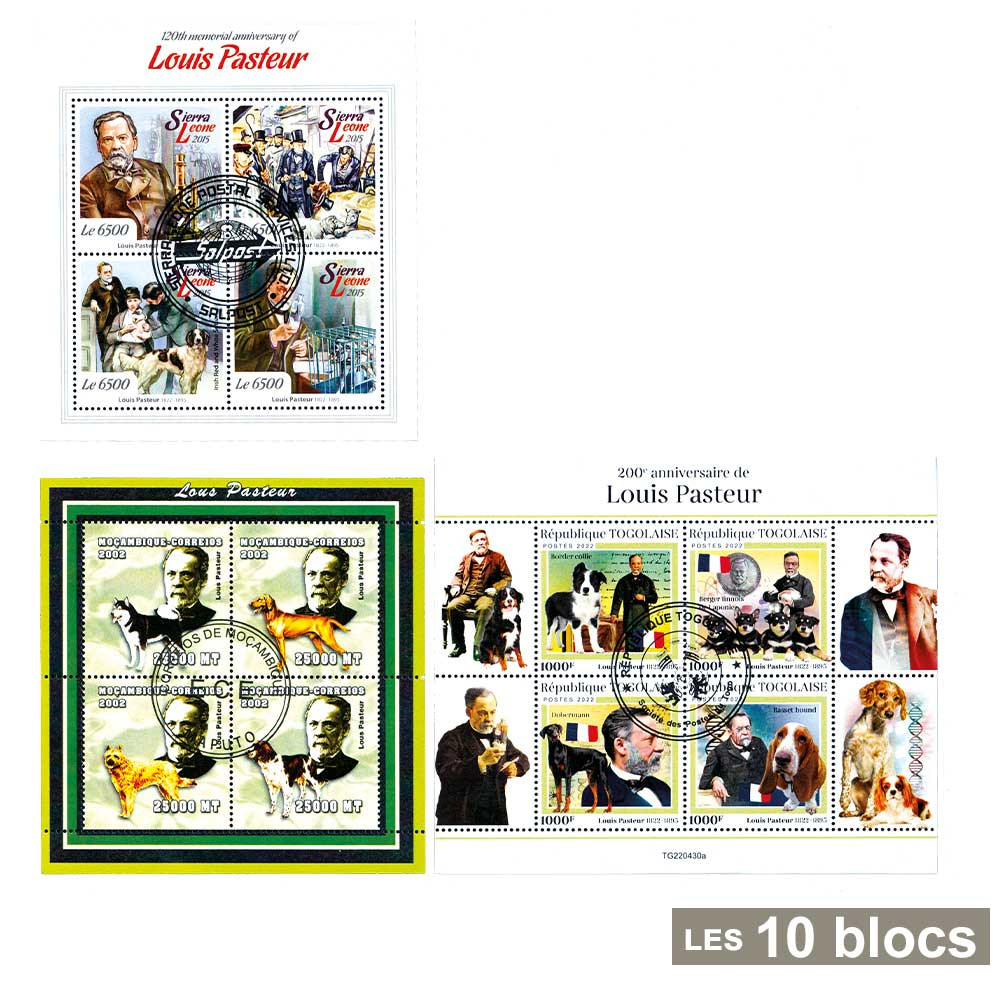 10 blocs-feuillets Pasteur