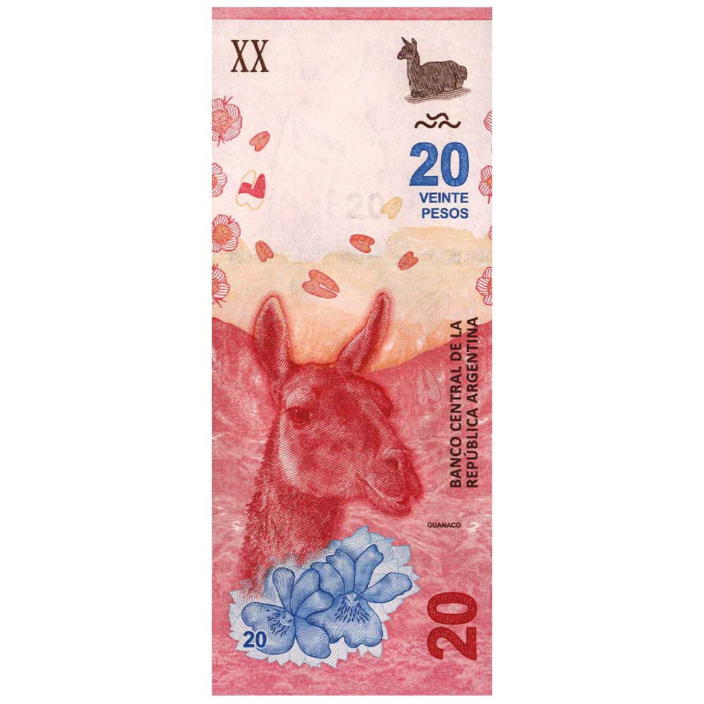 20 Pesos Argentine 2017 - Guanaco, le lama du pays Gaucho