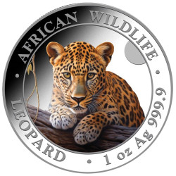 100 Shillings Argent BU...