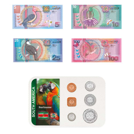 Lot Monnaies Suriname