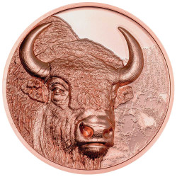 250 Tögrög BE 2025 - Bison