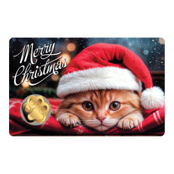 3000 Francs Or CFA - Joyeux...