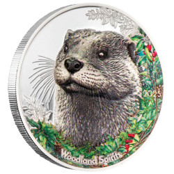 500 Tögrög Argent BE 2025...