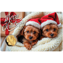 3000 Francs Or CFA - Joyeux...