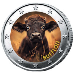 2 Euro Bufflon enduite