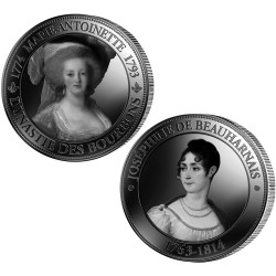 Lot 2 Pièces  de collection