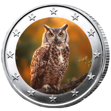 2 Euro chouette enduite