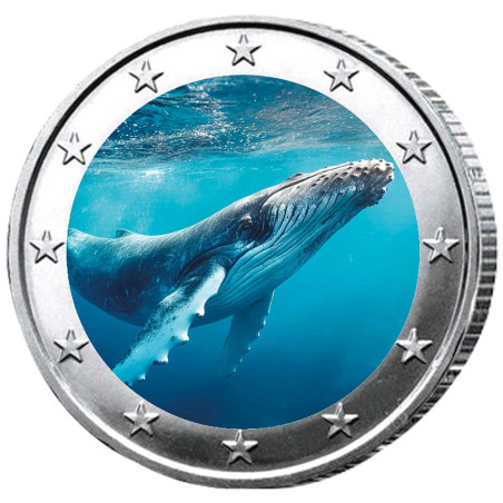 2 Euro baleine enduite
