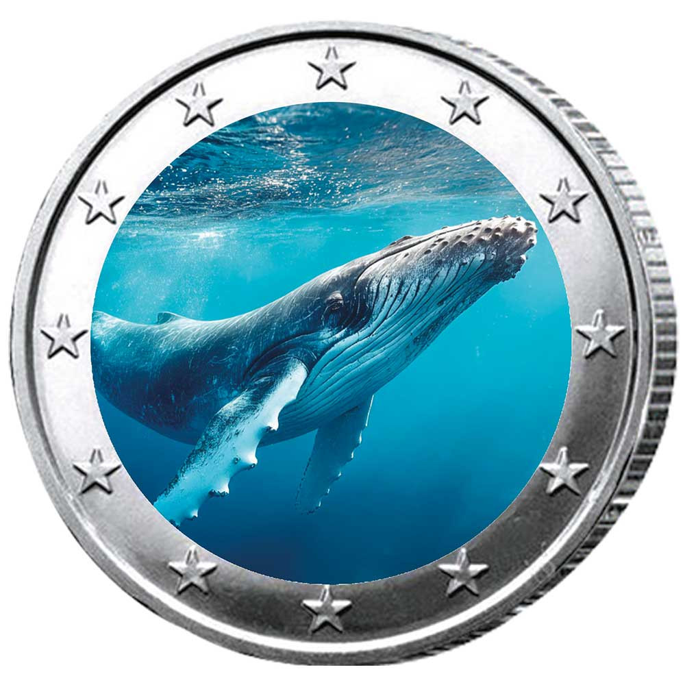 2 Euro baleine enduite