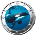 2 Euro orque enduite