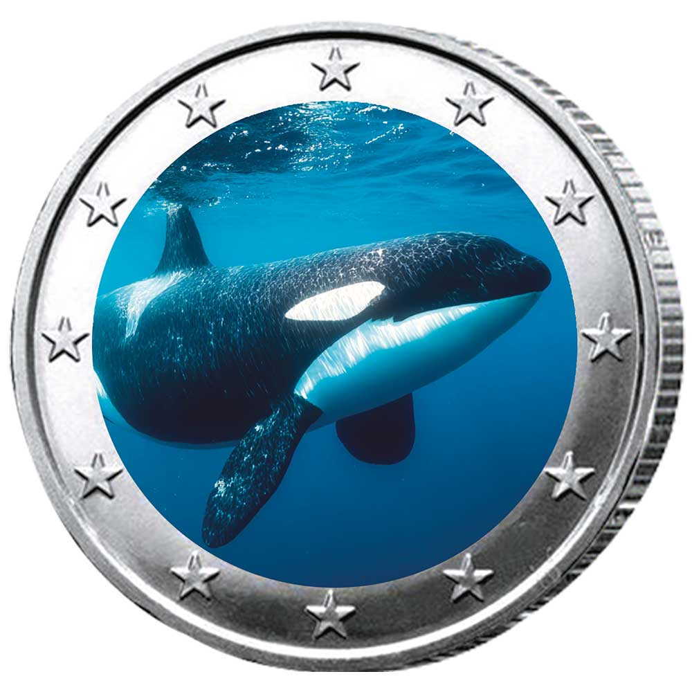 2 Euro orque enduite