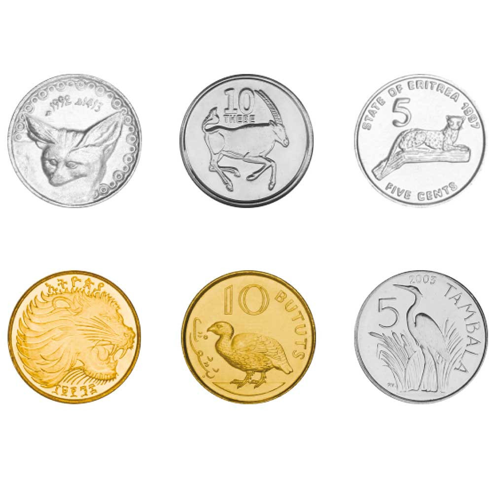 Album pièces Animaux d’Afrique