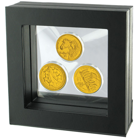 Cadre avec  3 x 1 Dollar USA