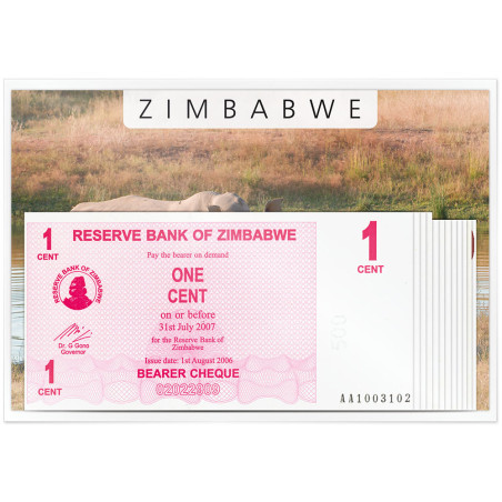 Lot de 12 billets à Ordre Zimbabwe 2006