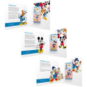 Lot 3 billets Disney