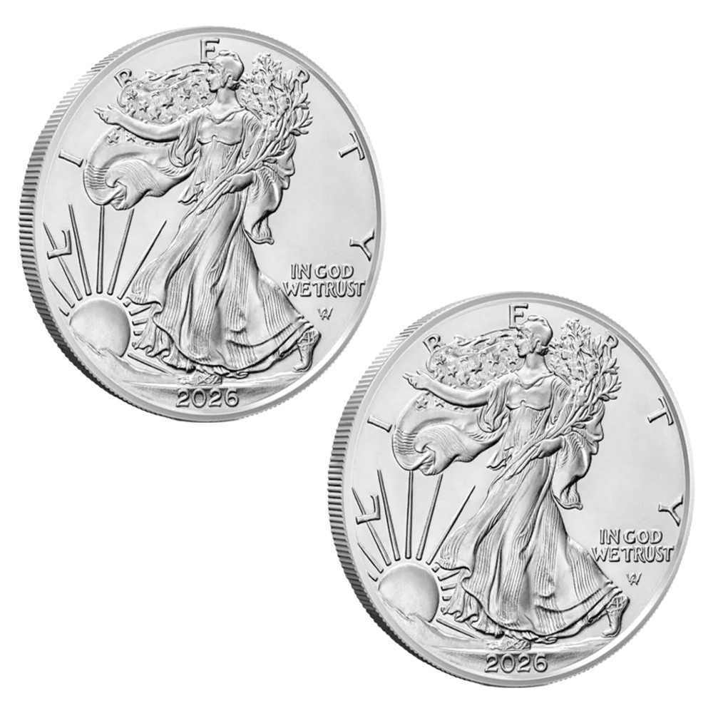 Lot 2 x 1 Dollar Argent USA 2026