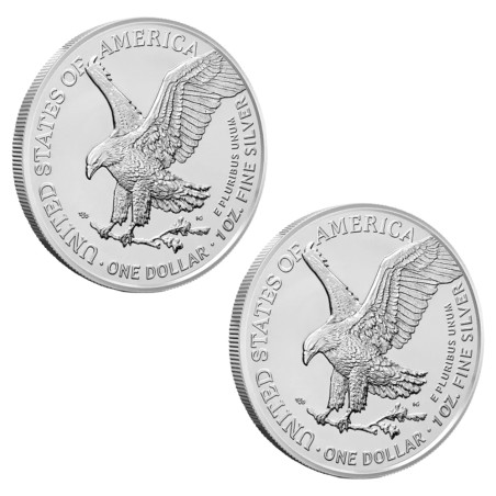 Lot 2 x 1 Dollar Argent USA 2026