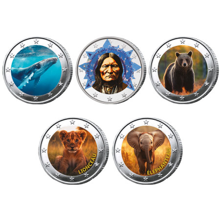 Lot 5 x 2 Euro enduites