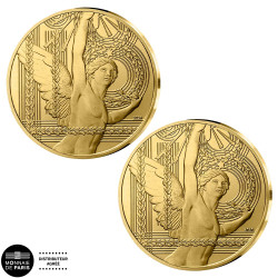 Lot 2 x 250 Euro Or  France BU 2026