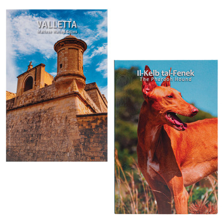 Lot 2 x 2 Euro Malte BU 2026 (2)