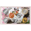 Série Japon BU 2026 - Floraison des Cerisiers à Hiroshima (3)