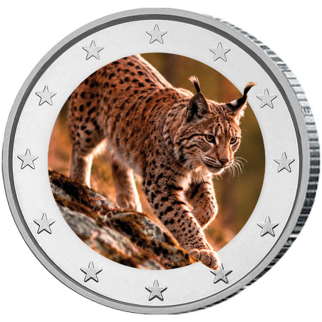 2 Euro enduite - Lynx