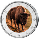 2 Euro enduite - Bison