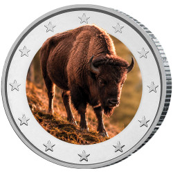 2 Euro enduite - Bison