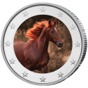 2 Euro enduite - Cheval sauvage