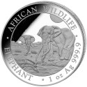 100 Shillings Argent BU 2026 - Eléphant