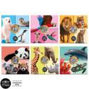 Lot 6 x 5 Euro France 2026 + Coffret offert (2)